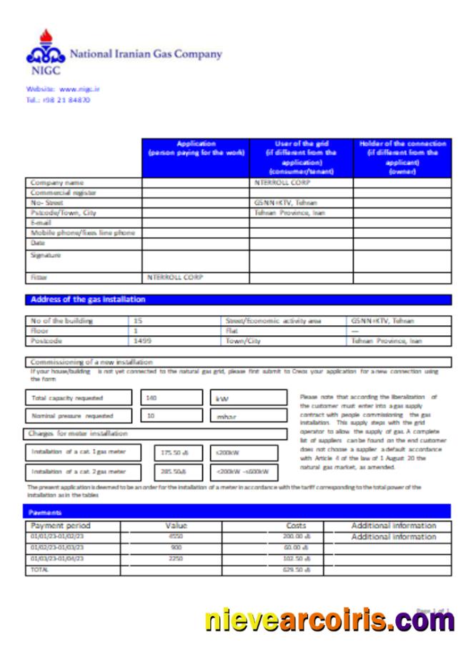 National Iranian Gas Company gas utility business bill